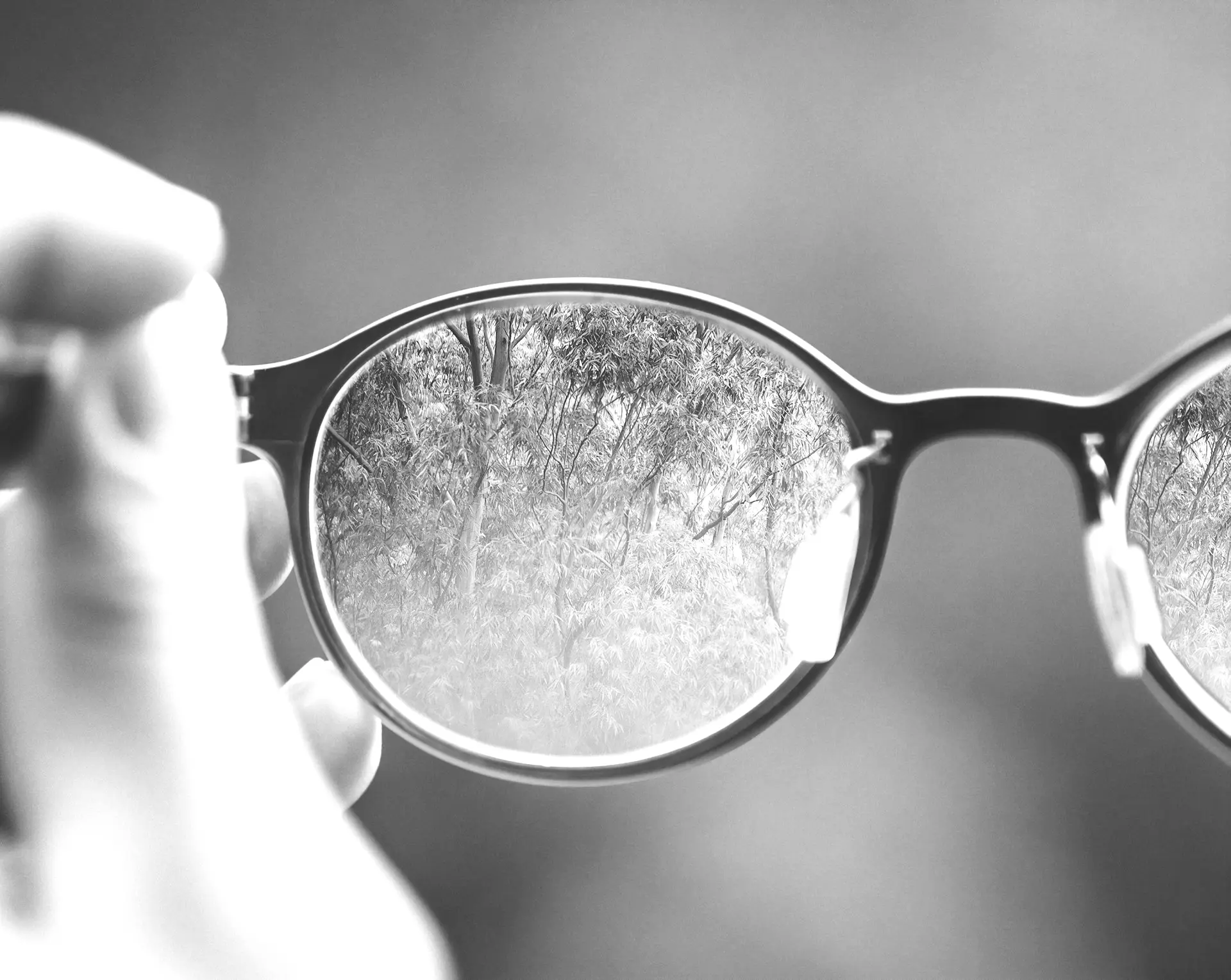 person holding brown eyeglasses with green trees background